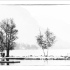 -LAC-Série 1-033 high key show